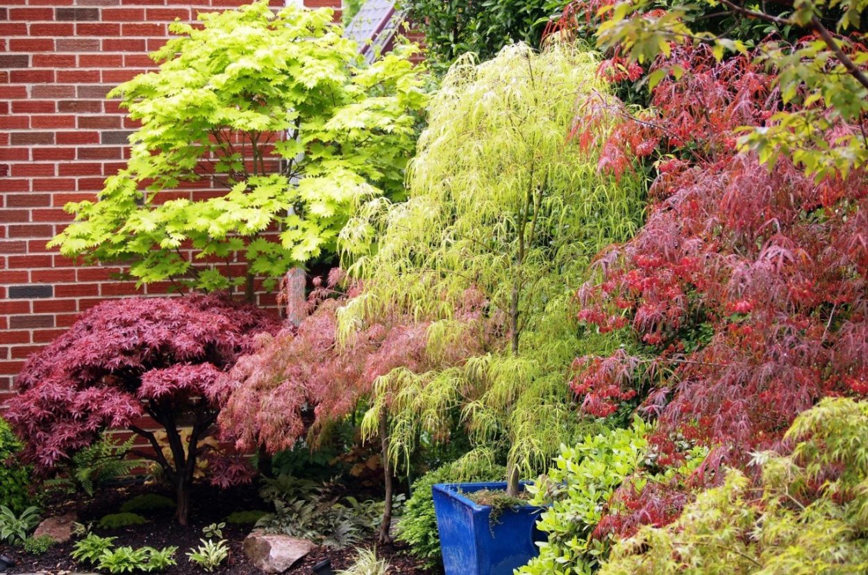 Красивая осень в саду