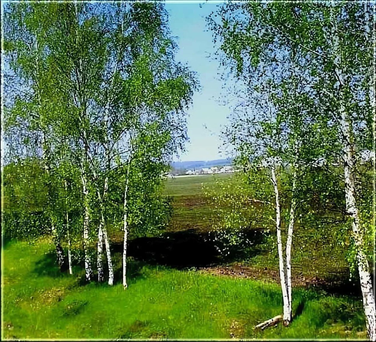 Березовая роща и Церковь пейзаж