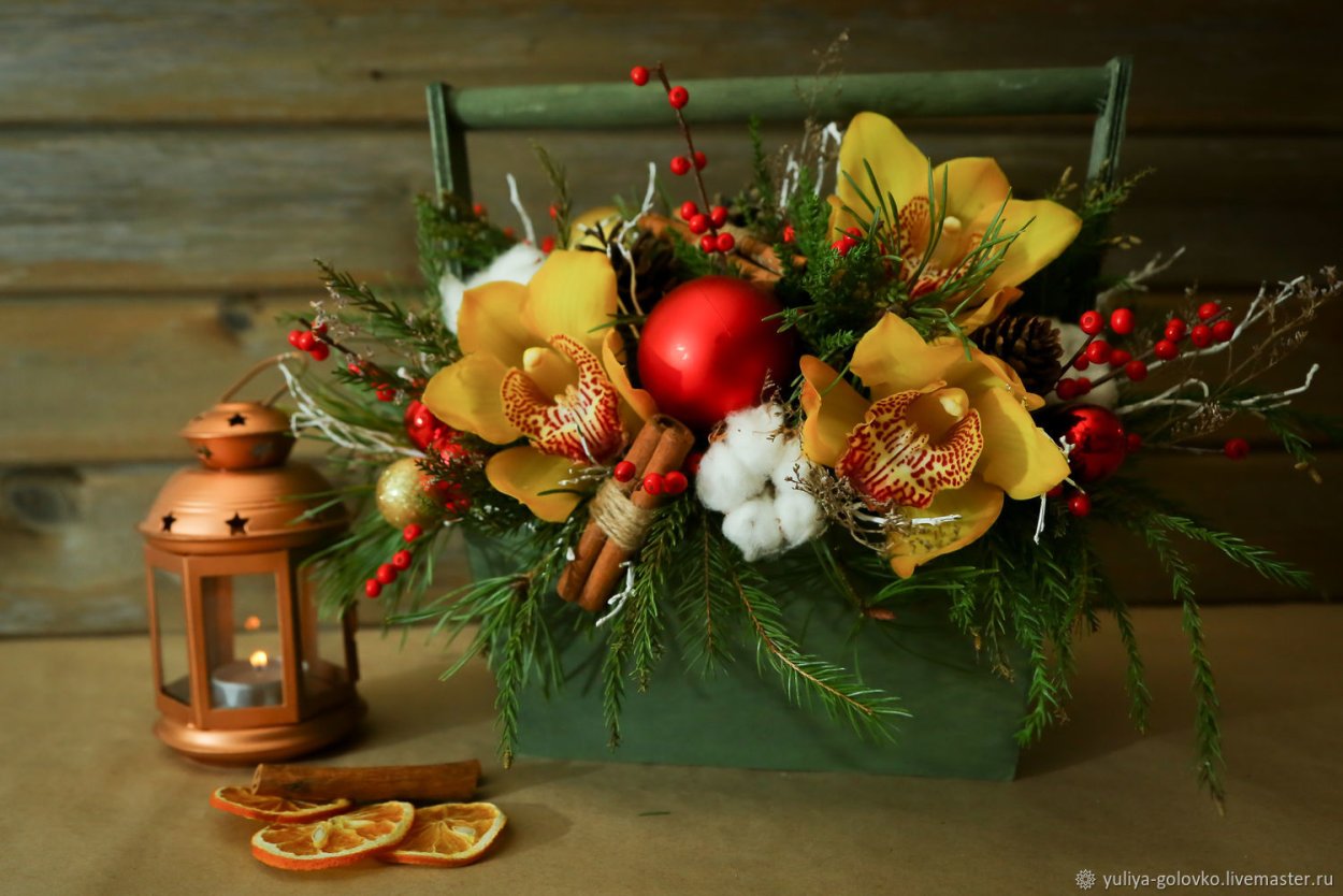 Новогодняя Орхидея