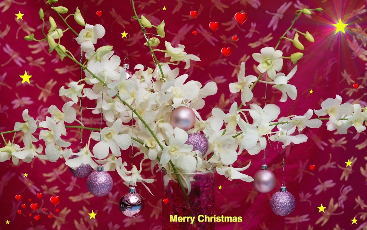 Кокедама для орхидей