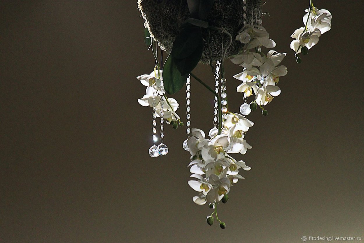 Новогодние композиции с живыми цветами