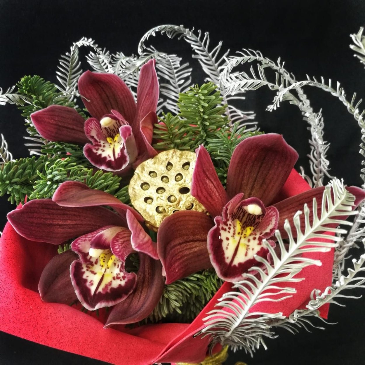 Пуансеттия Рождественская