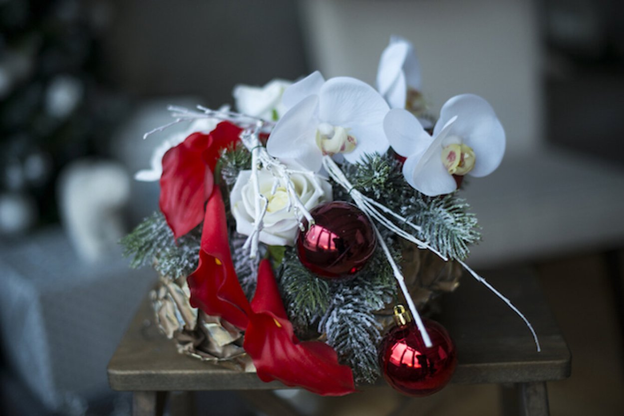 Обои на рабочий стол орхидеи