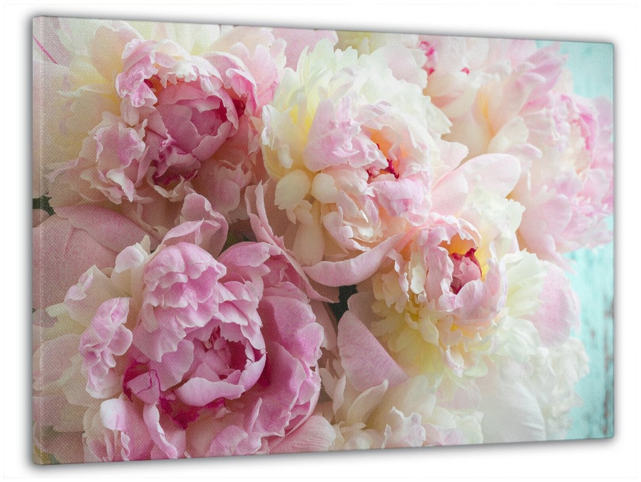 Фреска пионы