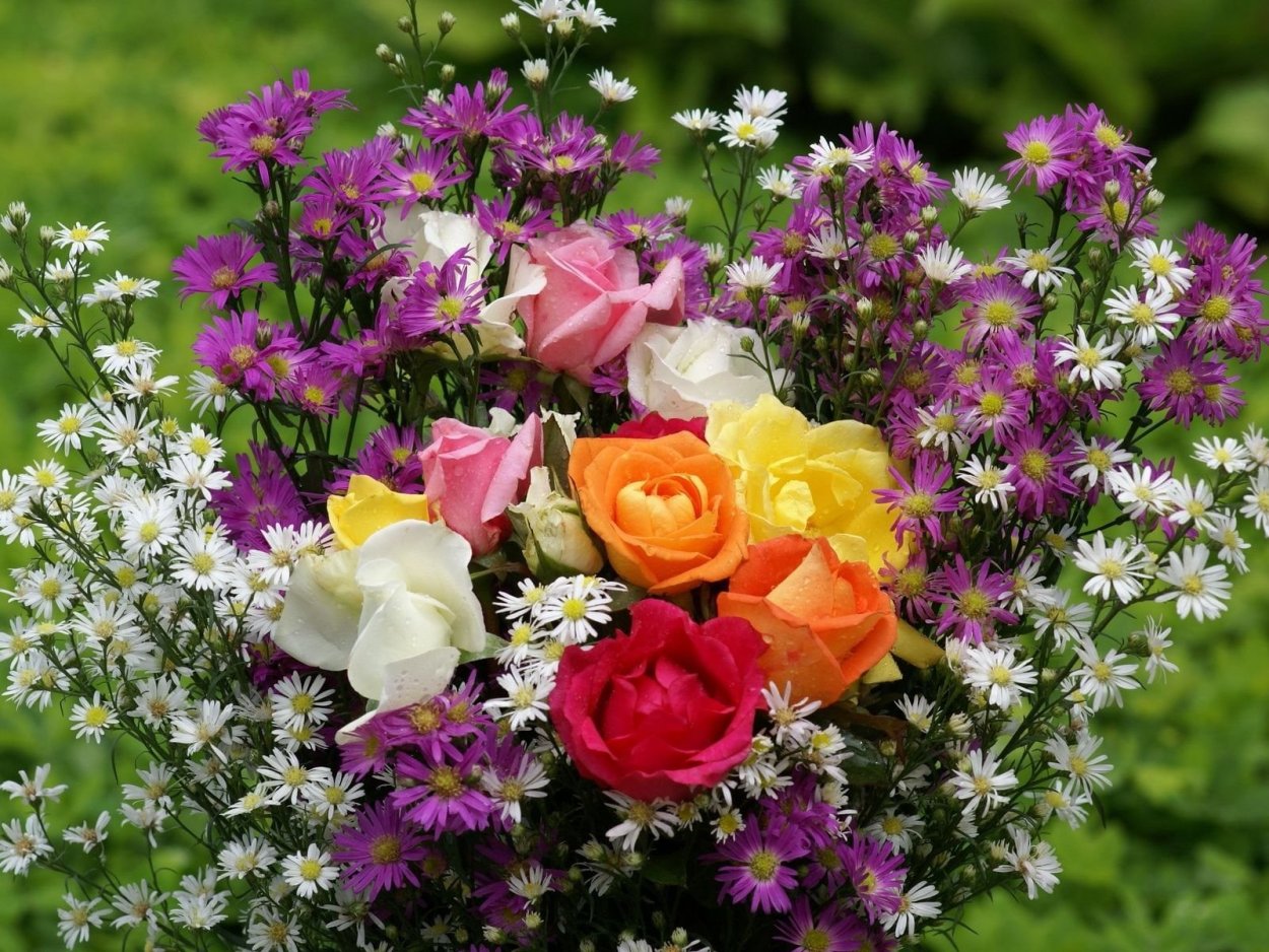 Цветы букет