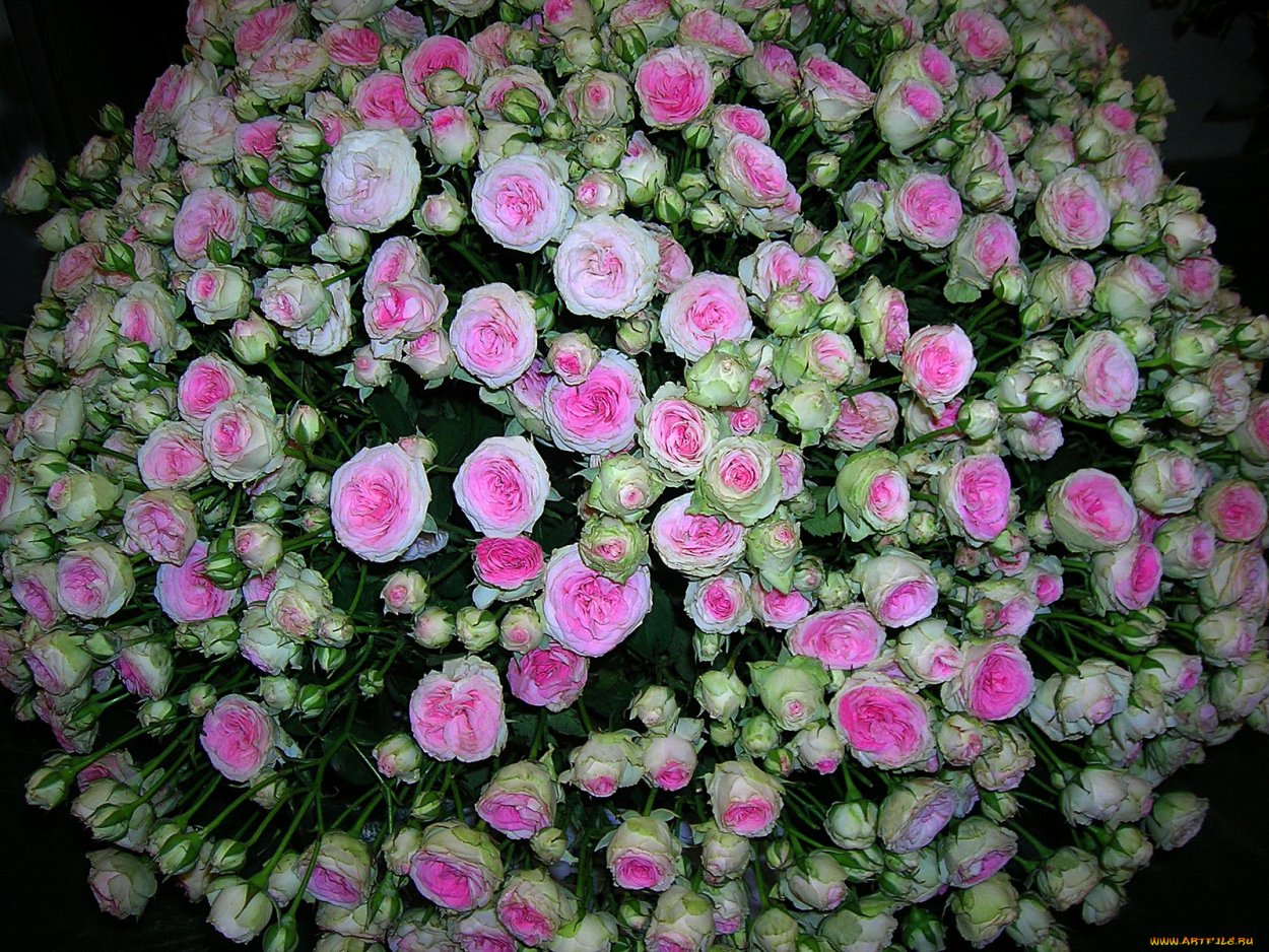 Цветочная композиция