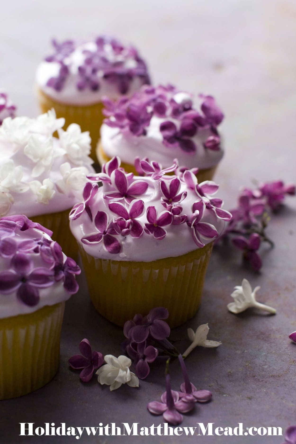 Фиалка Пироженка