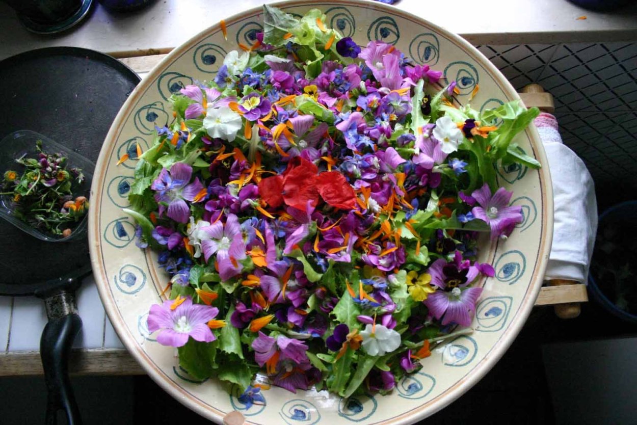 Сиреневый напиток