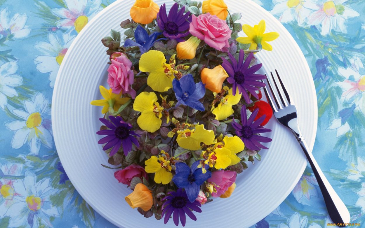 Красивые фиолетовые цветы