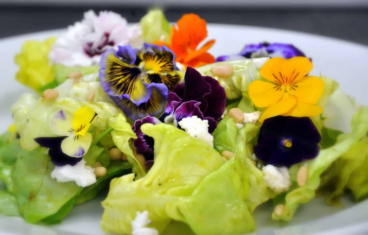 Сирень в рожке мороженого