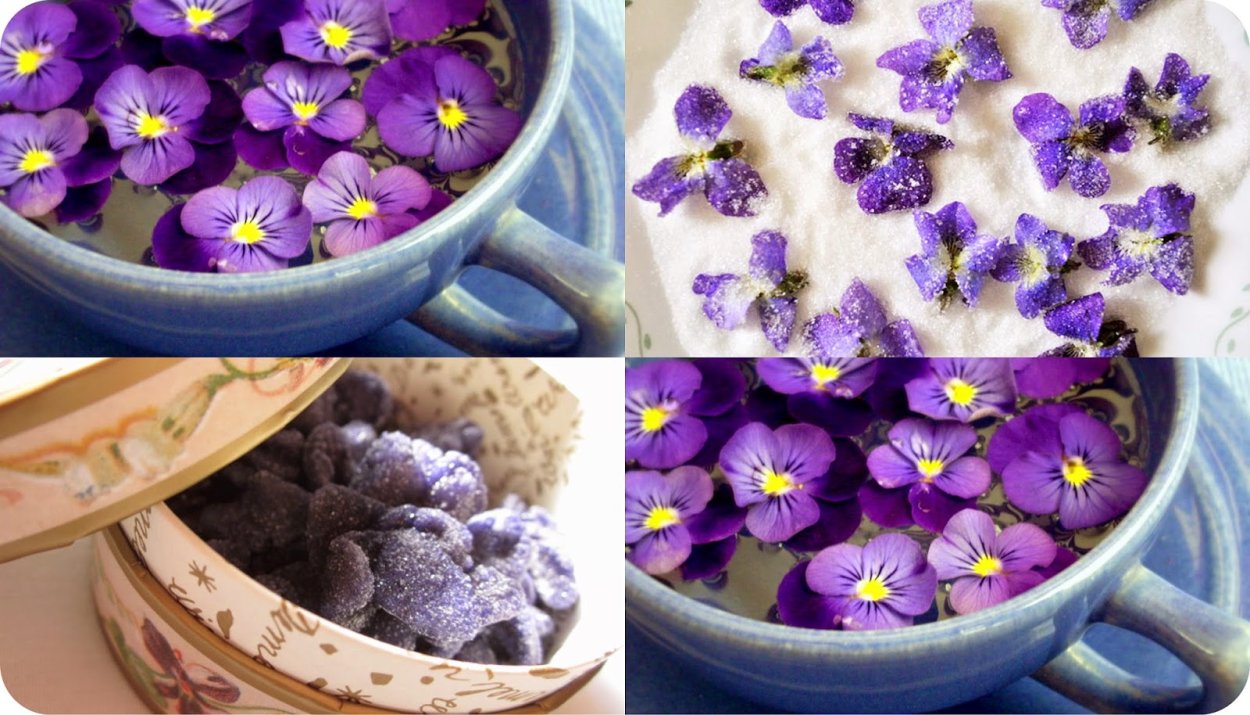 Засахаренные фиалки Laduree