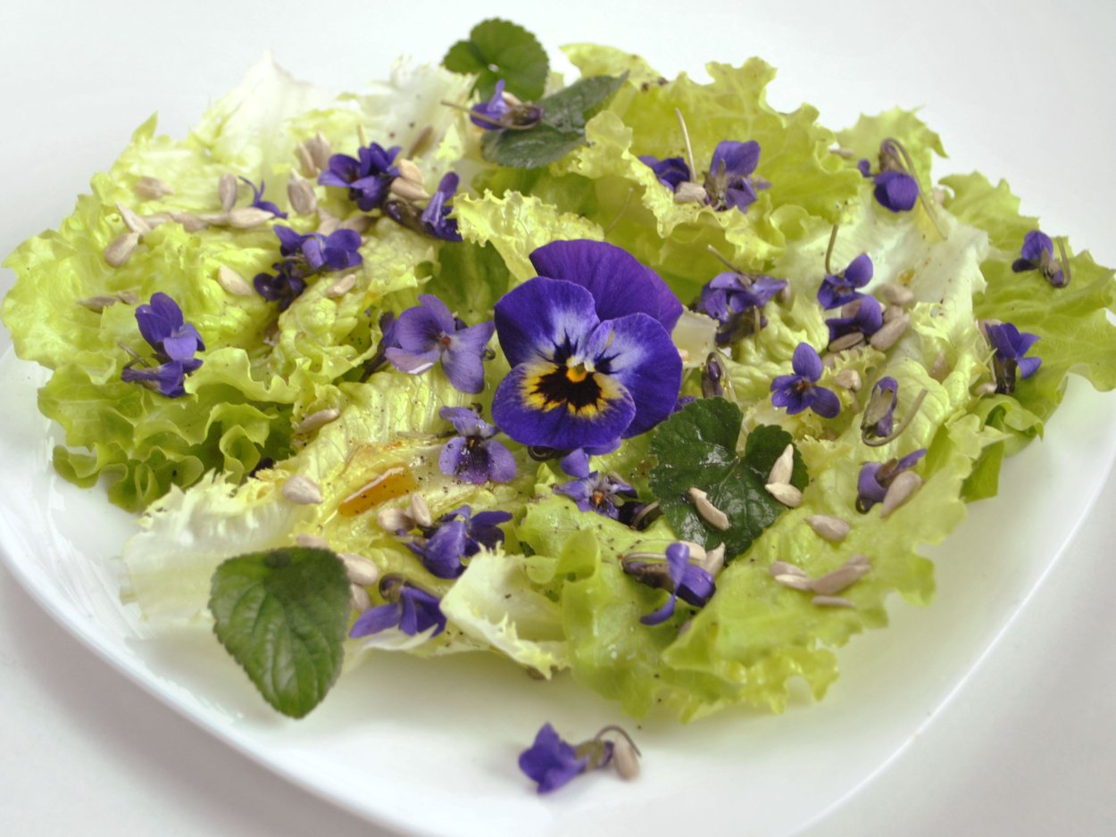 Съедобные цветы для украшения