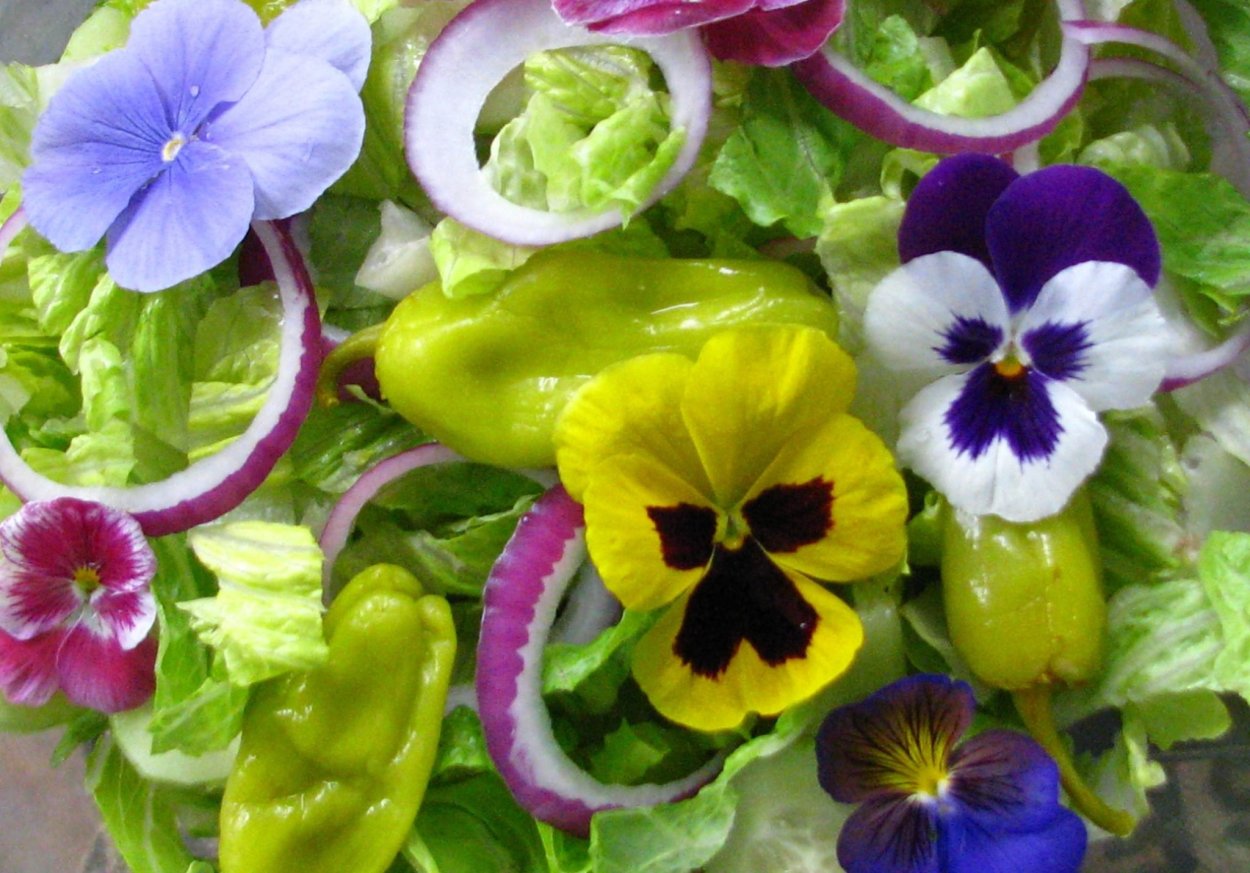 Макаронс фиолетовые