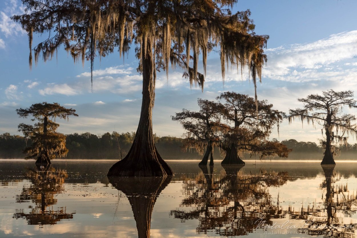 Озеро Каддо в Техасе