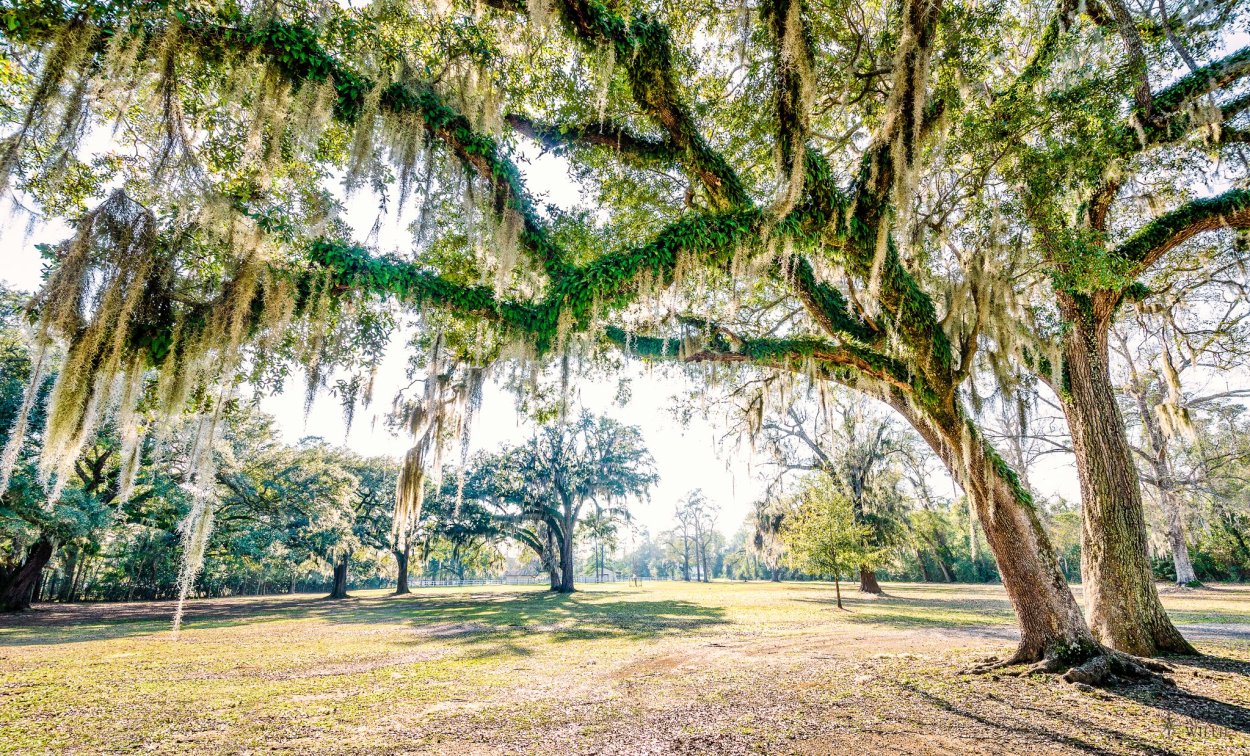 Луизиана горы