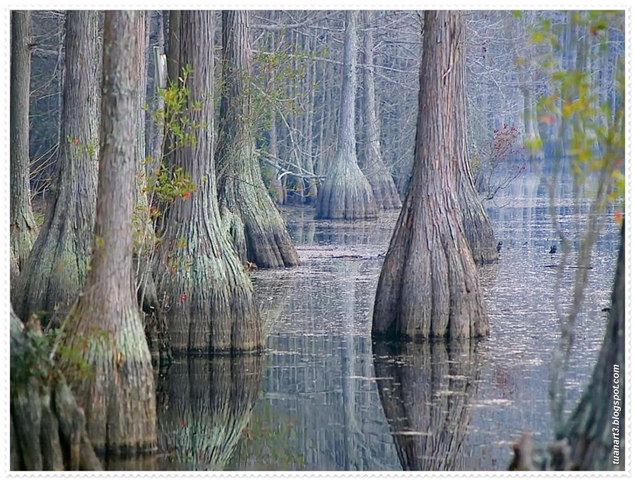 Озеро Манчак