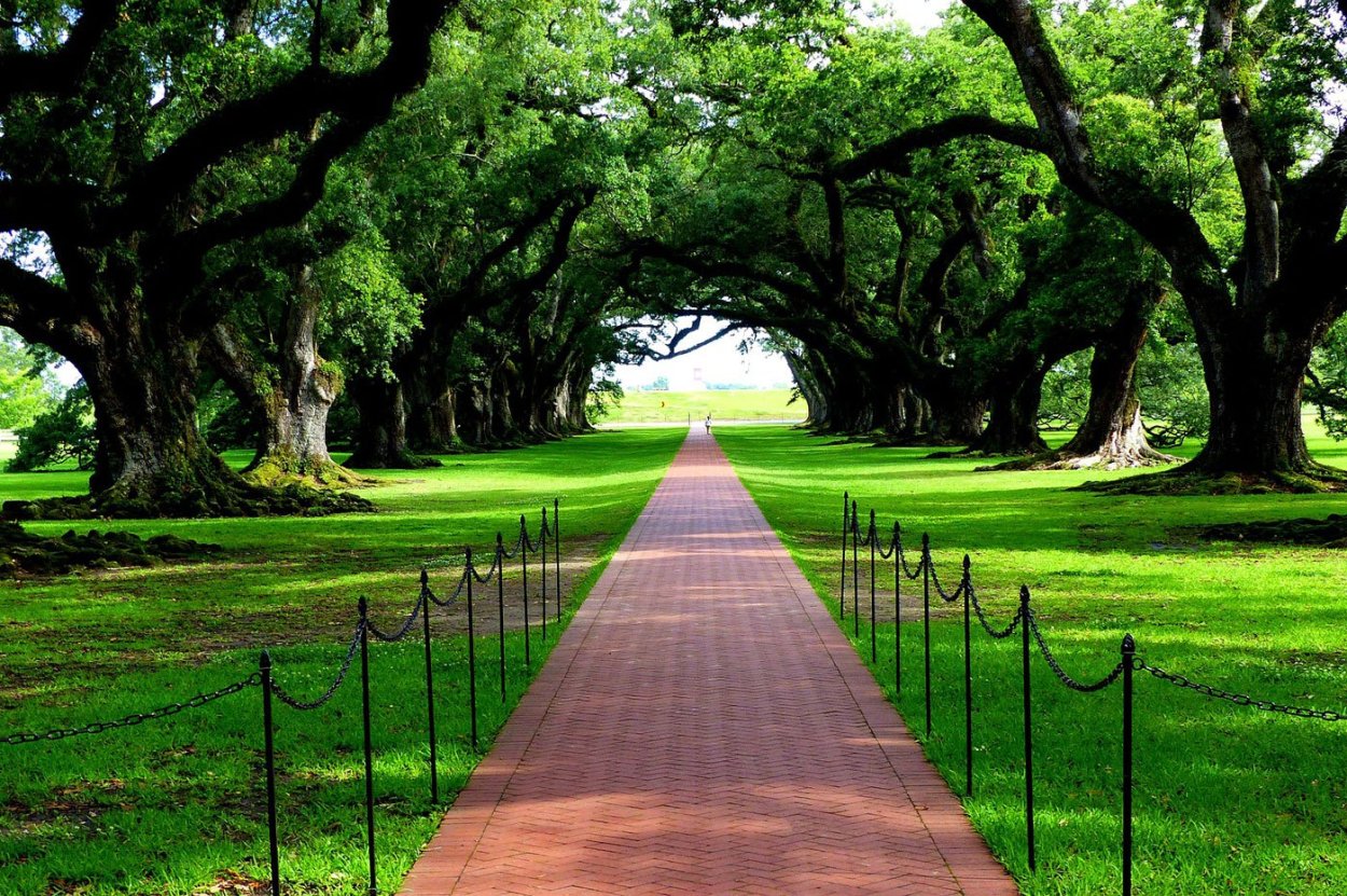 Штат Луизиана ландшафт