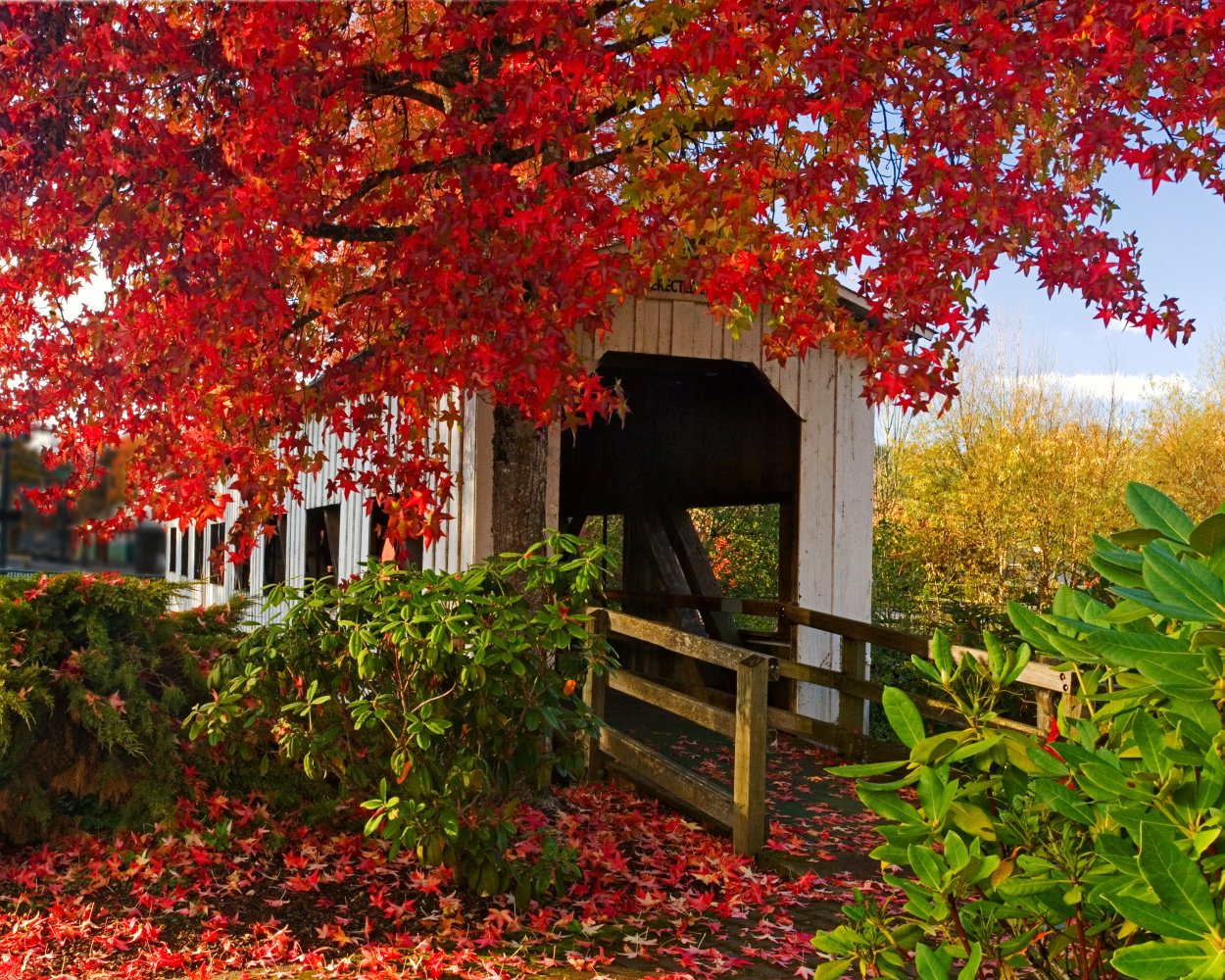Осень в саду