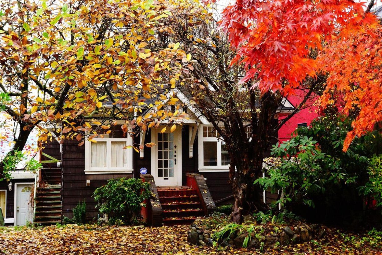 Осень домик