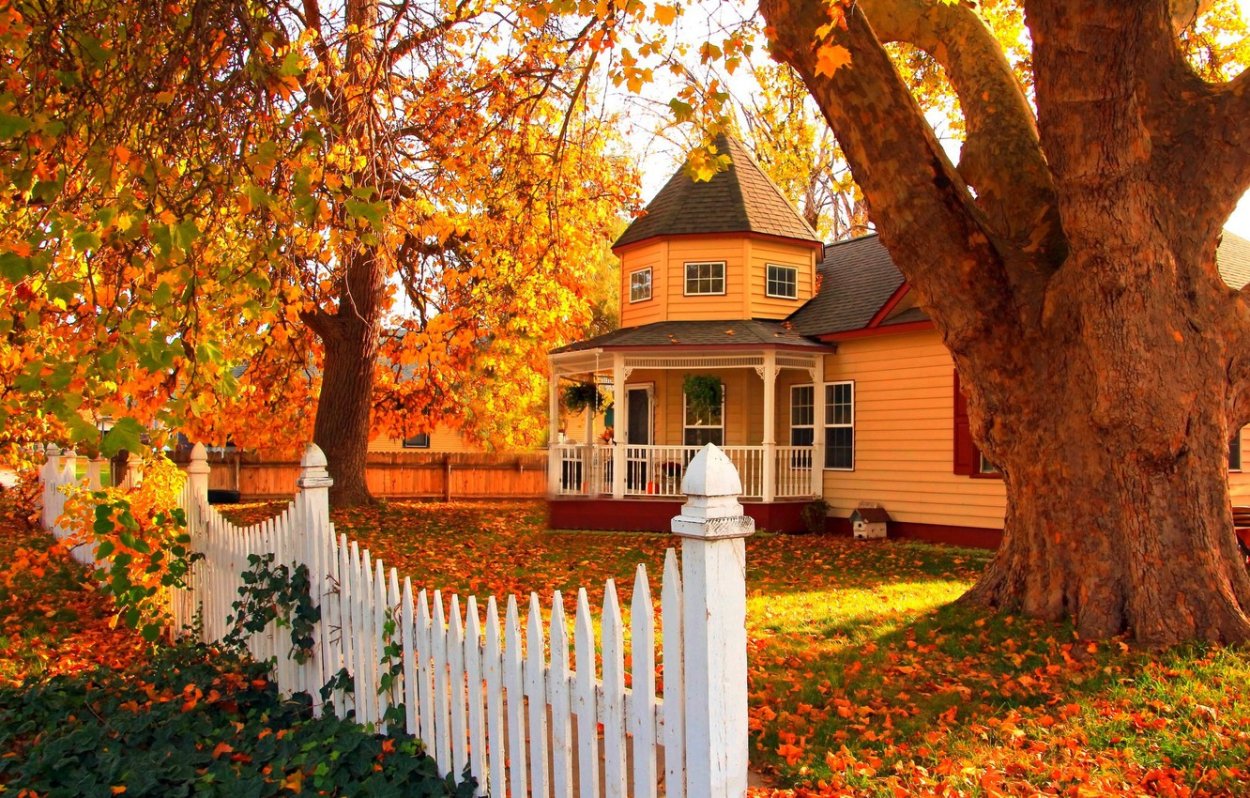 Осень домик