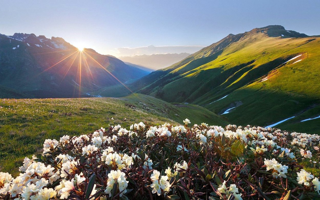Альпийские Луга Северного Кавказа