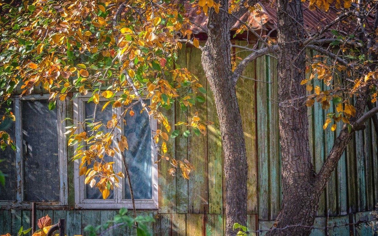 Вид из окна поздняя осень