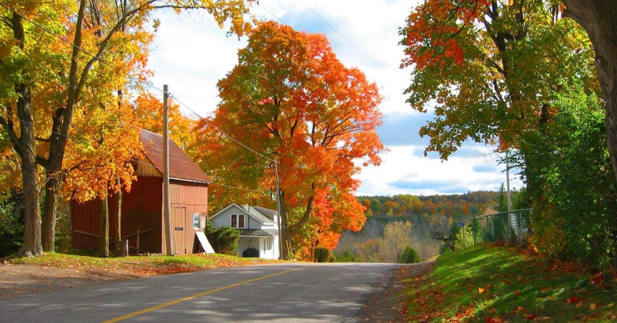 Индиана США пригород осенью