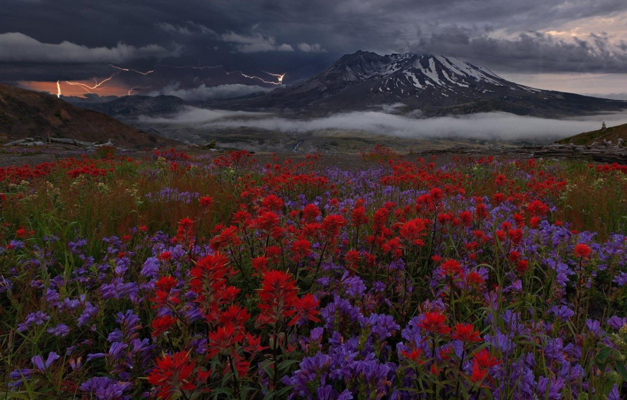Майлз Морган фотограф