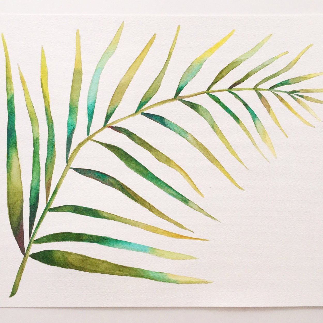 Пальмовые листья акварель