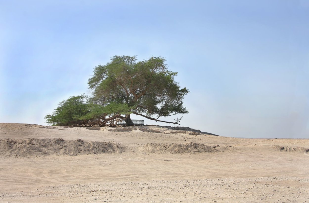 Бахрейн пустыня