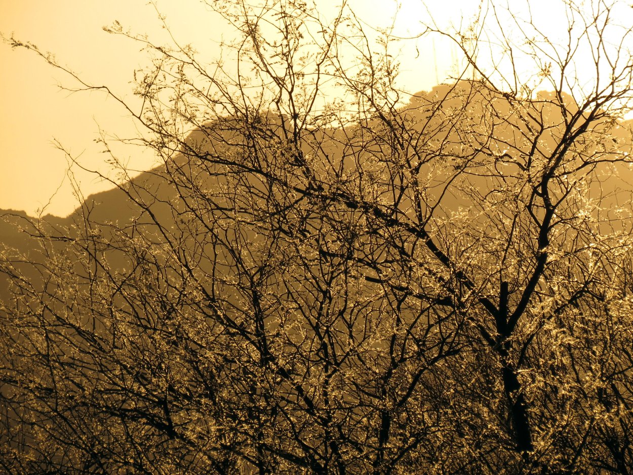 Джума мечеть Дербент