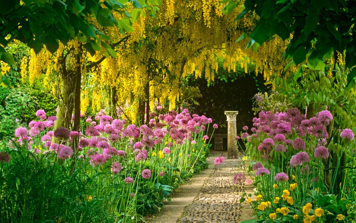 Красивый сад