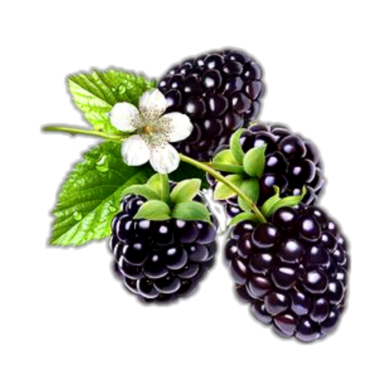 Ирга Мартин