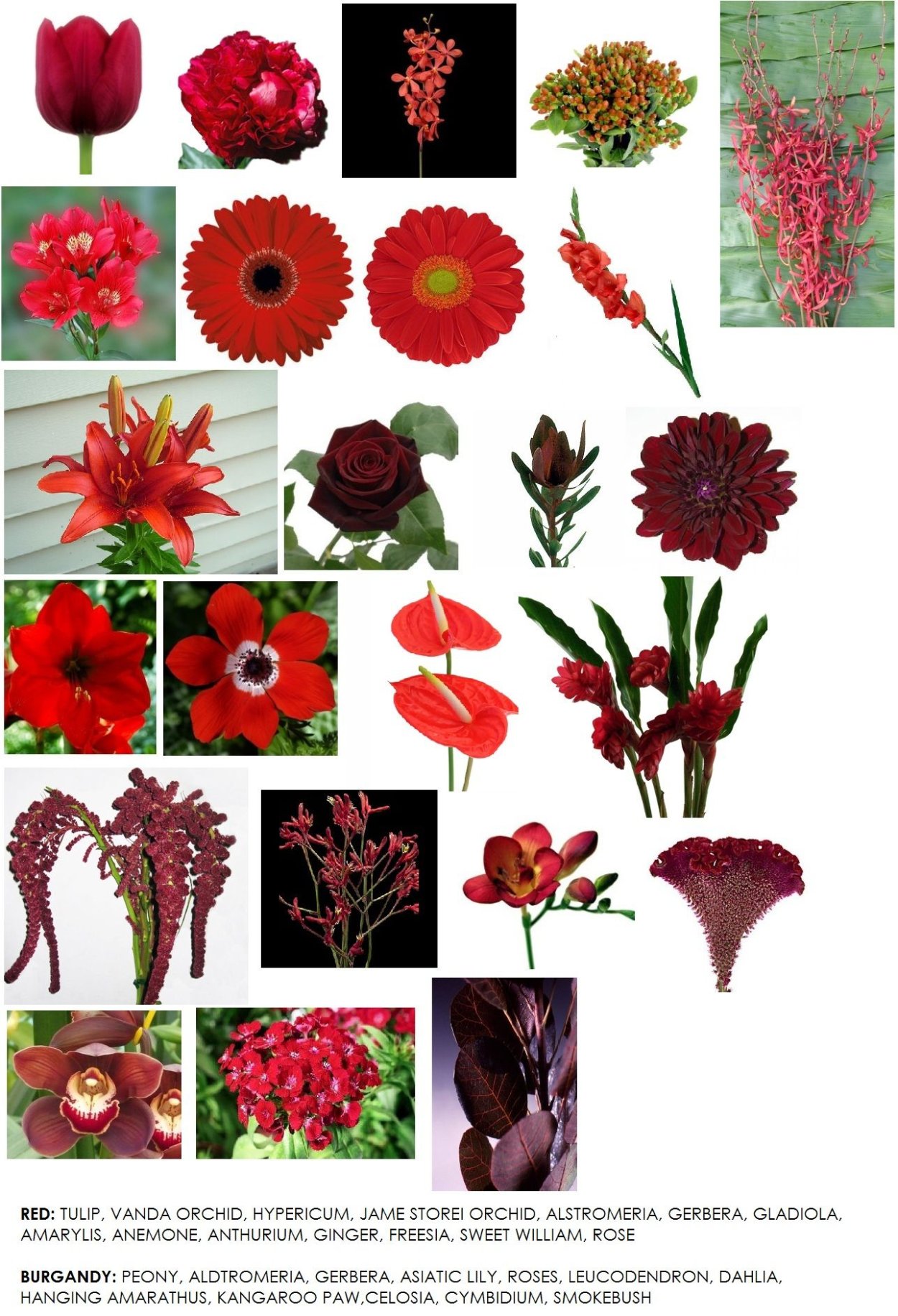 Картинки в красных тонах