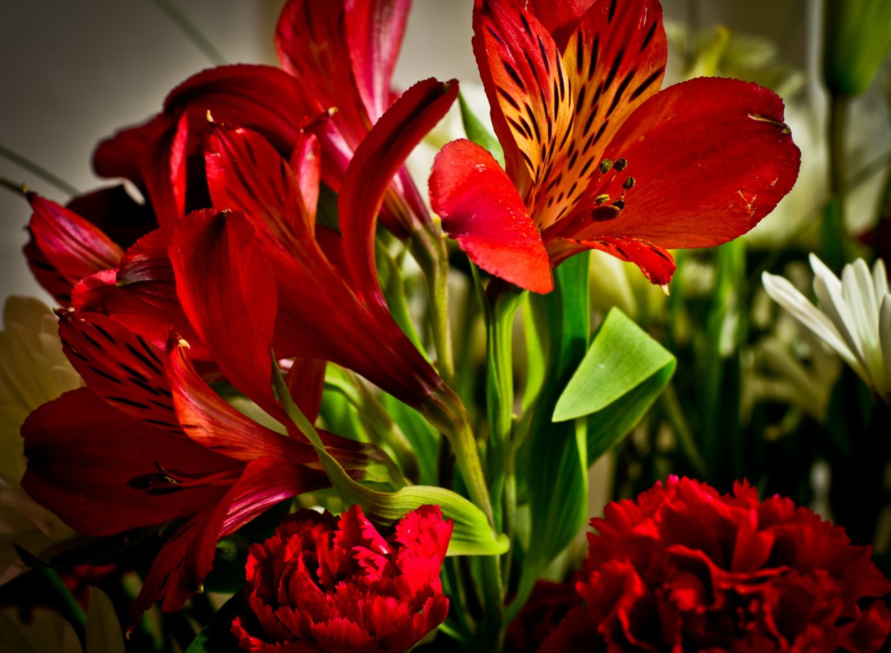 Цветочный фон