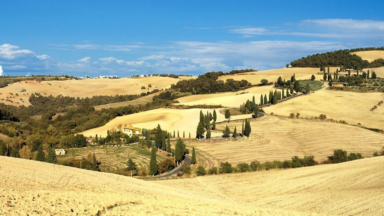 Олива зелень