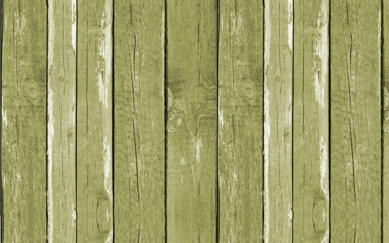 Пленка Адилет оливковое дерево b537 FGP