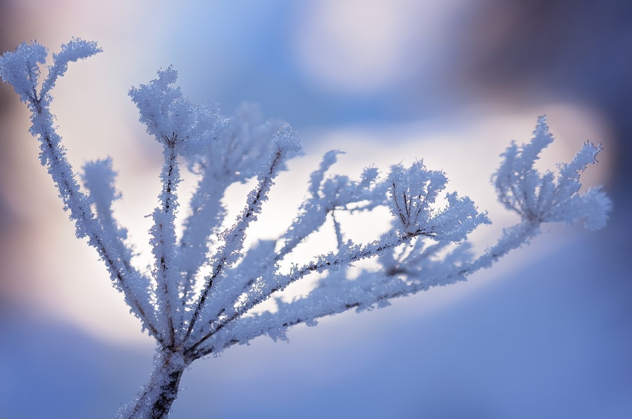 Зимние обои на рабочий стол