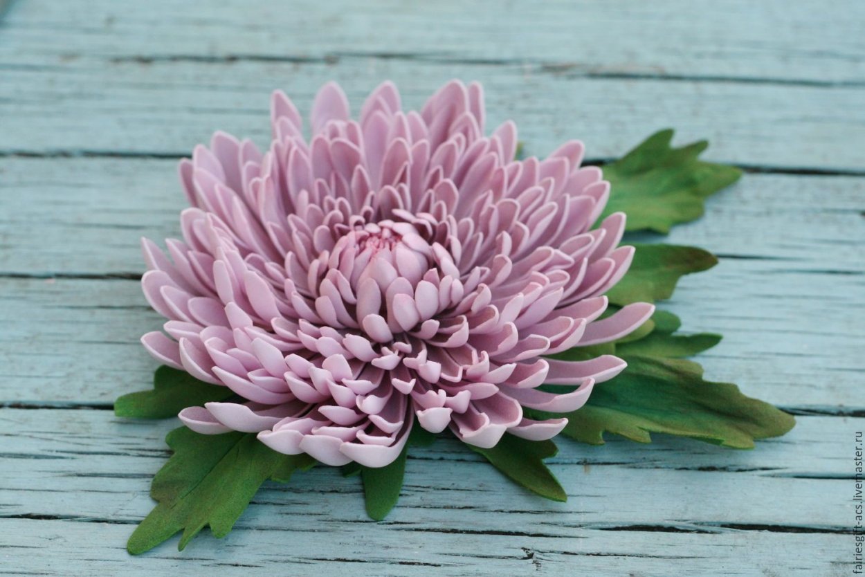 Фоамиран Хризантема