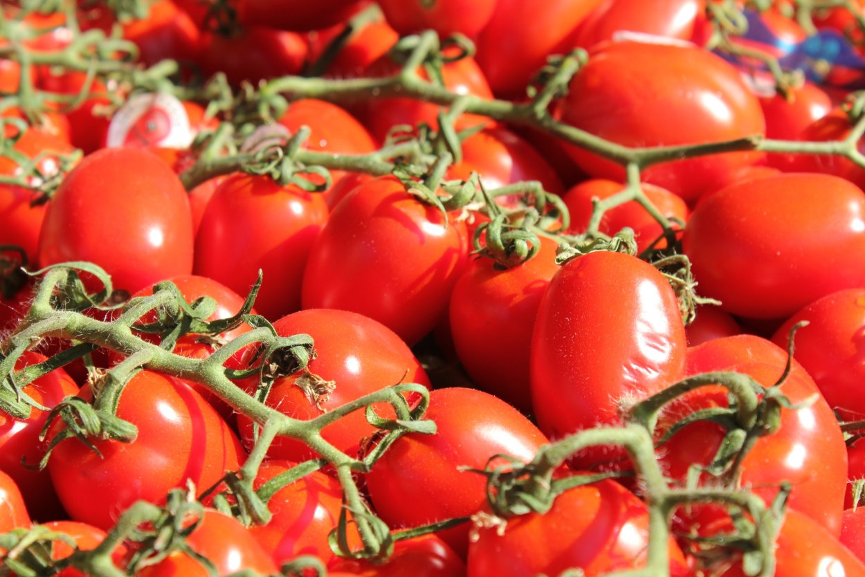 Томат витаминный f1