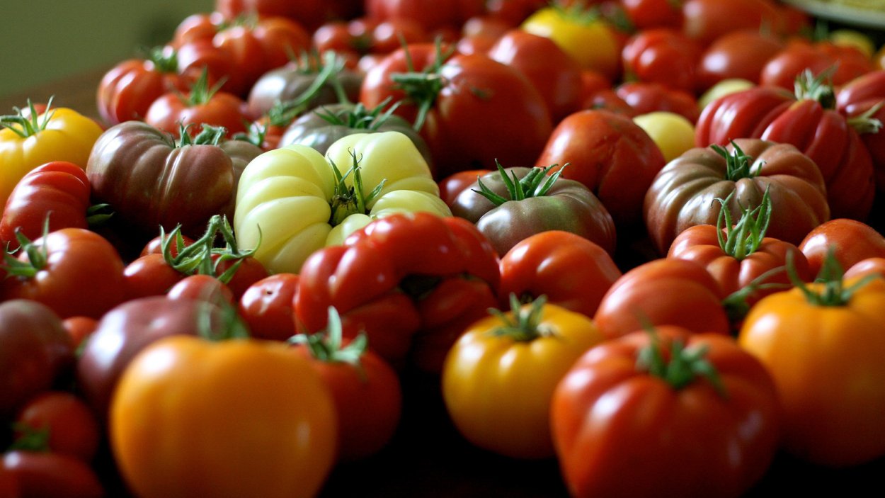 Ампельные томаты черри