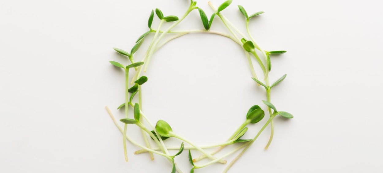 Логотип микрозелени