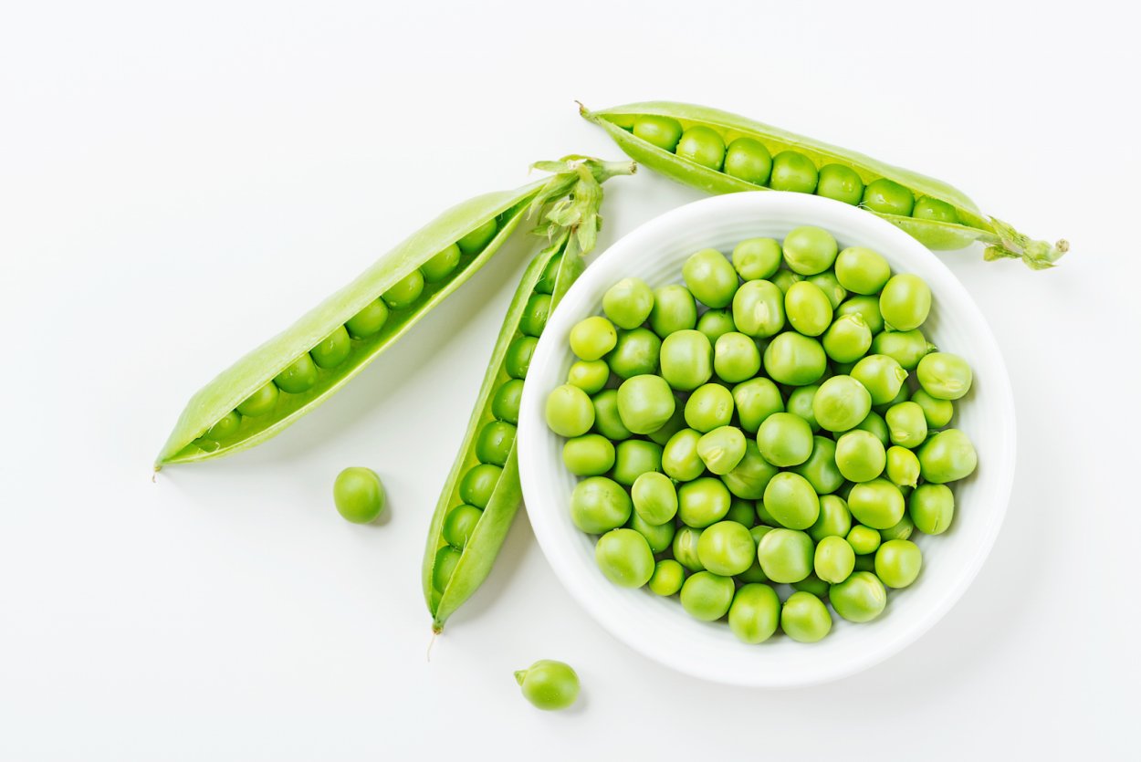 Цветок гороха рисунок