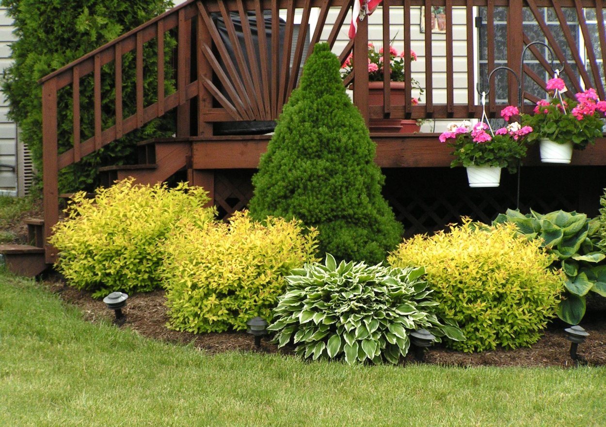 Клумба вдоль забора