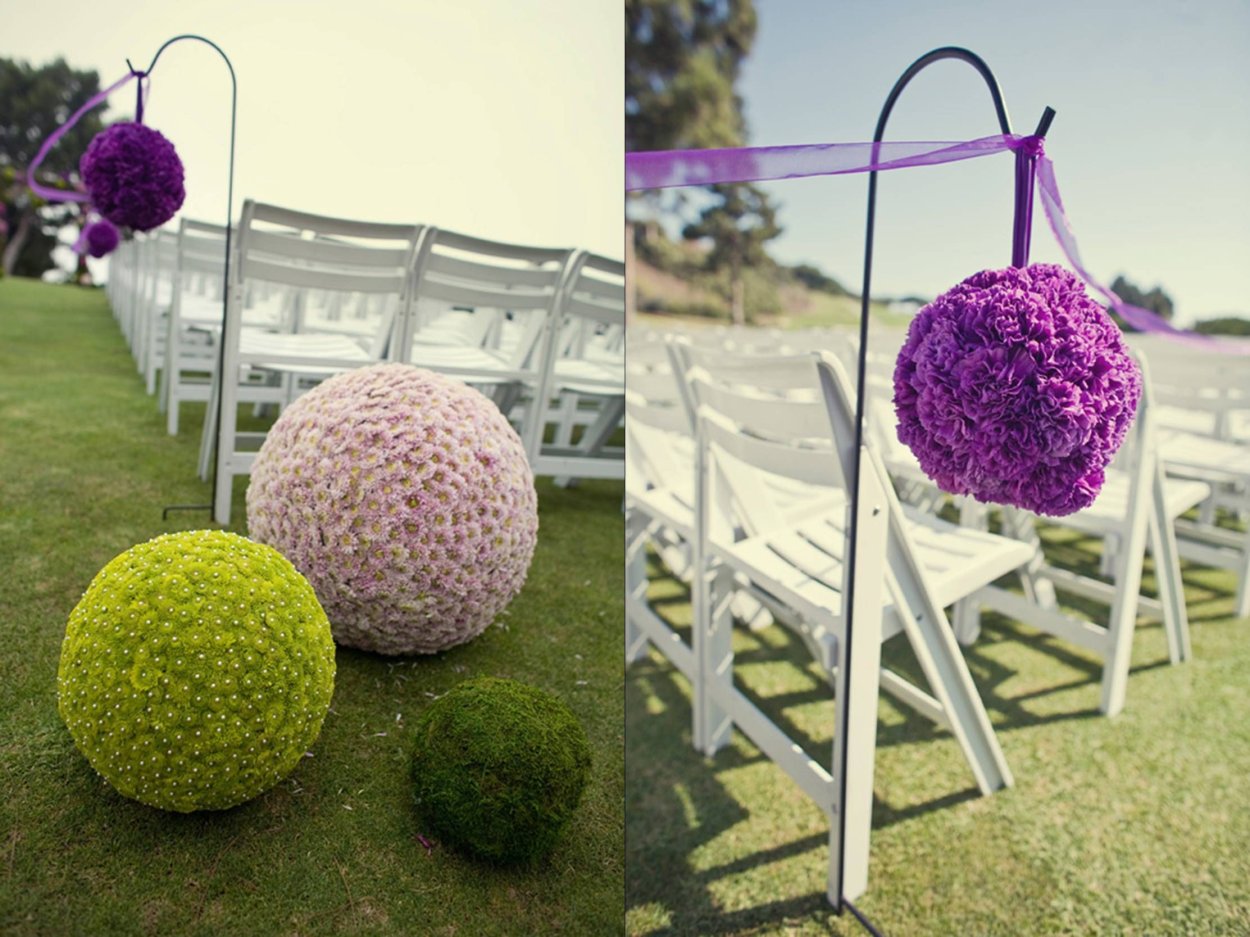 Гортензия Никко Блю