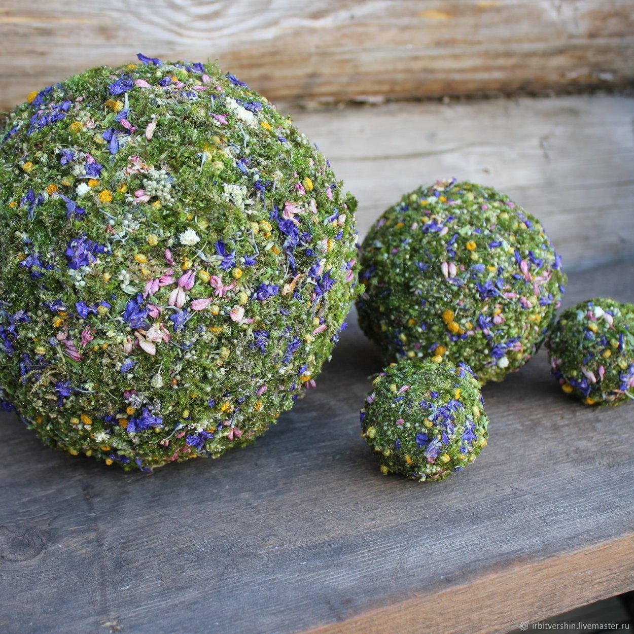 Краспедия барабанные палочки