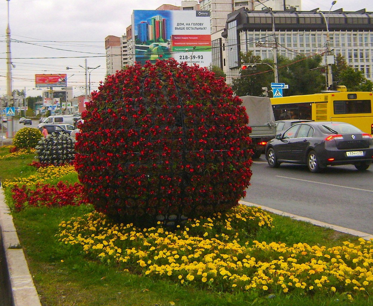 Георгина помпонная Касаги