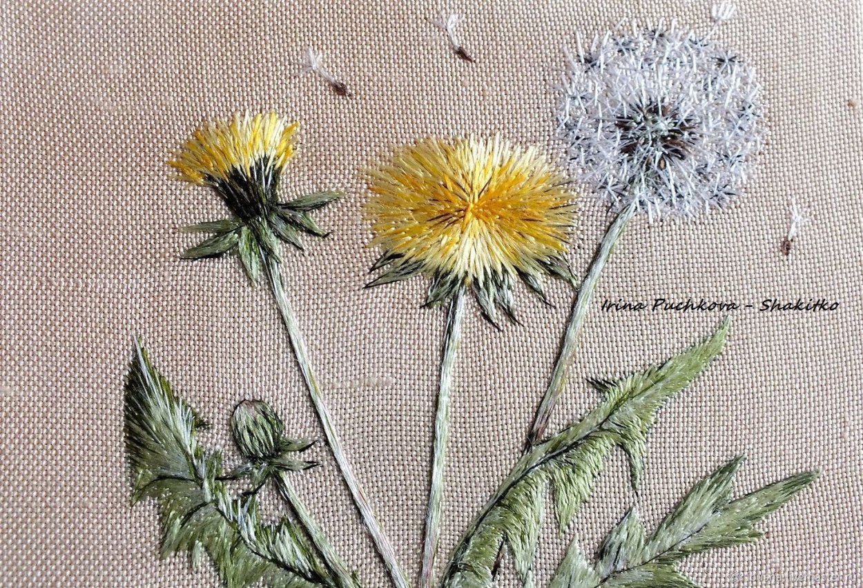 Злой одуванчик