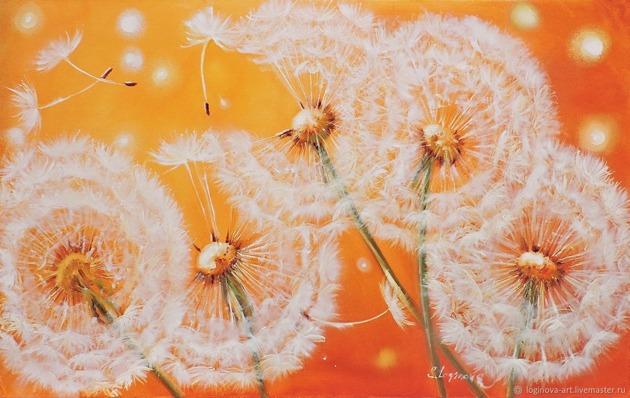 Белый одуванчик на фоне неба