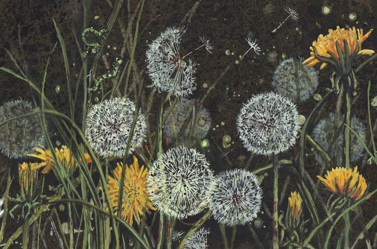 Одуванчик рисунок